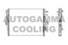 AUTOGAMMA 105680 Radiator, engine cooling